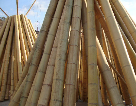 6mm-30mm Diameter Eco-Friendly Bamboo Stakes for Sustainable Gardening 2
