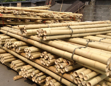 6mm-30mm Diameter Eco-Friendly Bamboo Stakes for Sustainable Gardening 0