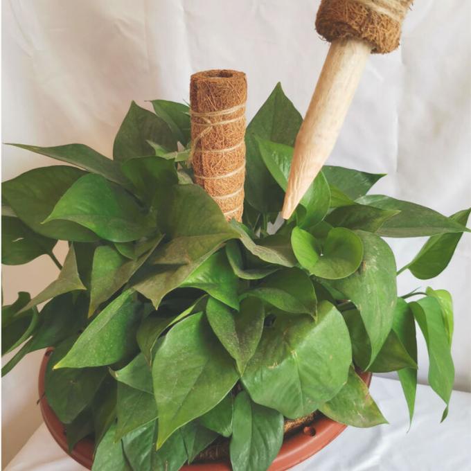 Coconut Coir Stick Custom Size Coco Coir Totem Pole Mat For Plants Growth Climbing 1