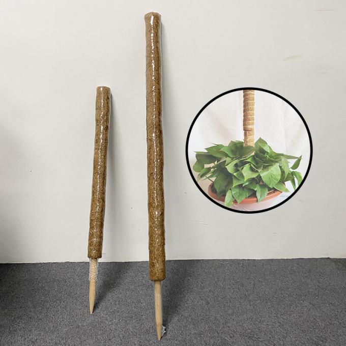 Coconut Coir Stick Custom Size Coco Coir Totem Pole Mat For Plants Growth Climbing 2
