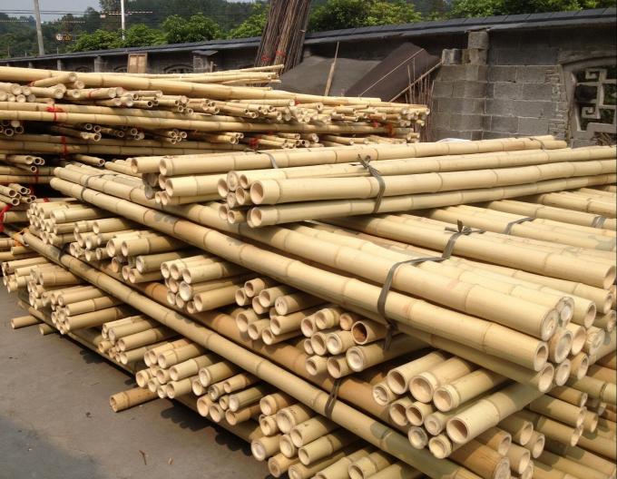 Moso Bamboo Pole for Decoration Length Customized Straight Bamboo Tree Stakes 0