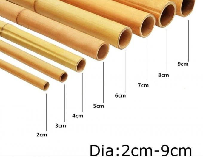 Moso Bamboo Pole for Decoration Length Customized Straight Bamboo Tree Stakes 1