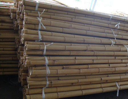 Moso Bamboo Pole for Decoration Length Customized Straight Bamboo Tree Stakes 2