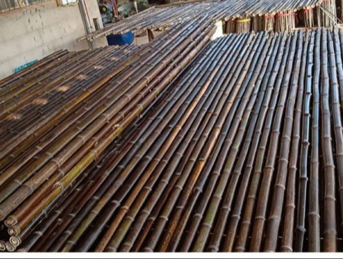 Karbonize Siyah Doğal Bambu Çit Panelleri Dış Dekorasyon Bahçe Tarım 1