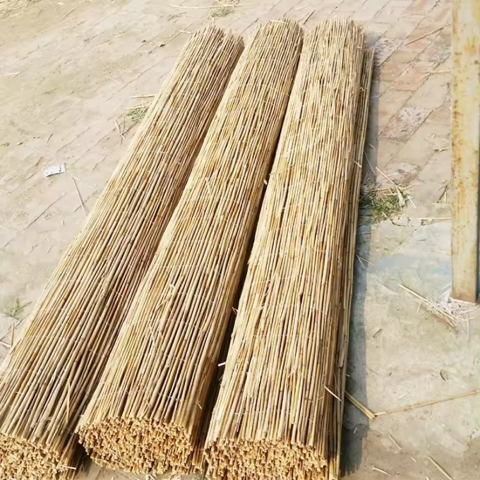 Reed Fence An Eco-Friendly and Versatile Way to Add Privacy and Shade 1