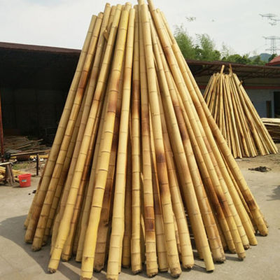 İnşaat Bambu hammaddesi