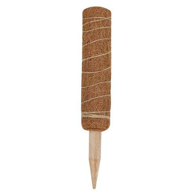 30cm 40cm 60cm 90cm Doğal hindistancevizi kokosu Totem Destek Çubuğu