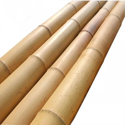 Moso Bamboo Pole for Decoration Length Customized Straight Bamboo Tree Stakes