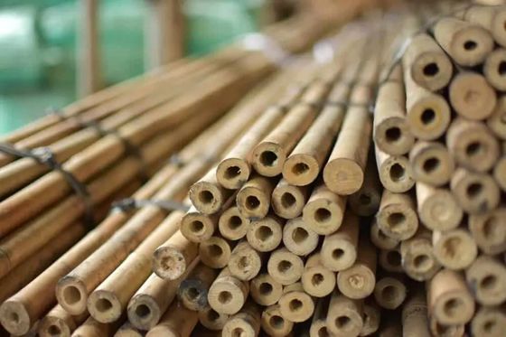Natural Garden Bamboo Sticks For Indoor And Outdoor Plants , Plant Support Stakes For Tomatoes , Beans , Potted Plants