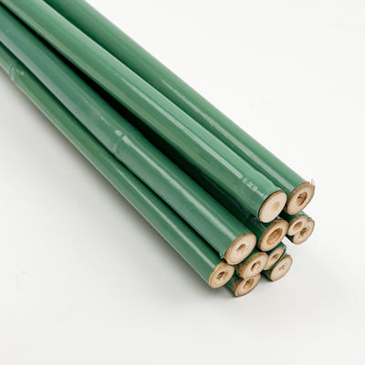 Özel Yeşil PVC Kaplı Bambu Tedavili Çiçek Destek Tonkin Bambu Plastik Tüp direği
