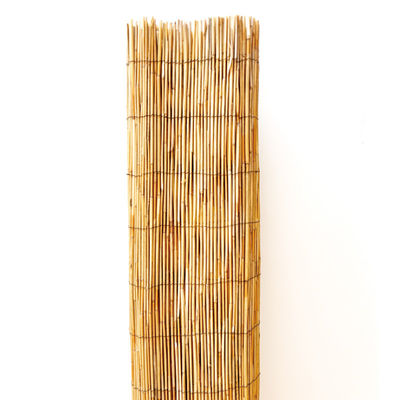 Eco-Friendly Reed Fence Natural And Stylish Solution For Garden Decoration And Privacy