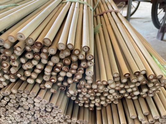 % 100 Doğal Bambu Çubukları Özel Uzunluk Bitki Destek ve Dekorasyon için Ekolojik