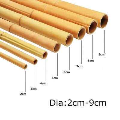 Eco-Friendly Customizable Size Bamboo Pole For Garden Plant Support With Antisepsis Treatment