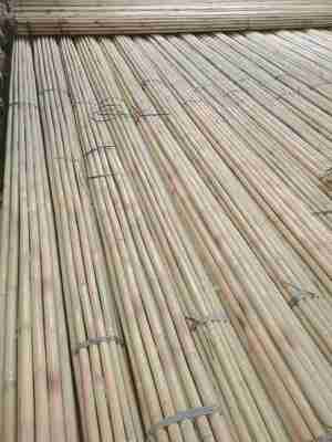 Sürdürülebilir Bambu Bahçe Kazıkları 6‑30mm | Tırmanma Tesisleri ve Sebze Kafesleri için Doğal Bambu Direkler