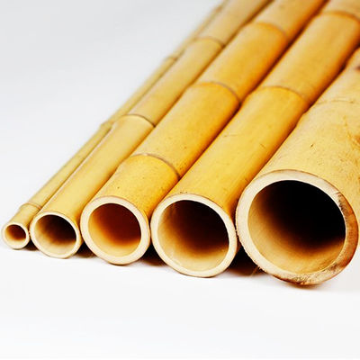 Bitki Dekorasyonu İçin Çevre Dostu 3 İnç Moso Bambu Direği Bambu Kazıkları Sarı