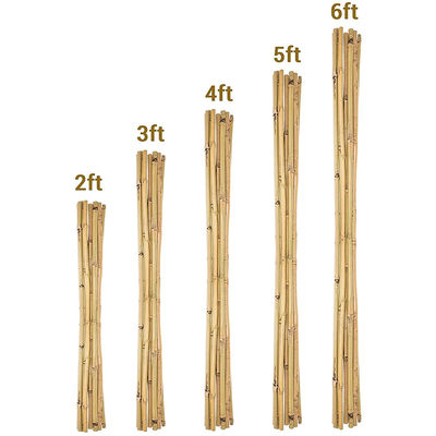 Bahçe Mobilyaları Doğal Bambu Çubukları Çiğ Bambu Çubukları 40cm 500cm Yükseklik