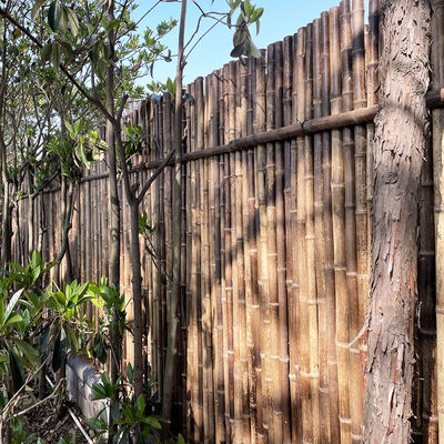 Bahçe Arka Bahçe Sınırı İçin 150cm Doğa Renkli Dekoratif Bambu Çit