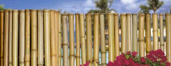 180cm 240cm Bahçe Sınır Çitleri için Bambu Çitleri