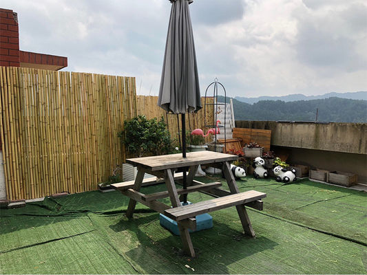 Doğal Tonkin Bambu direği Bahçe için Bambu Gizlilik Çit 240 cm Yüksek