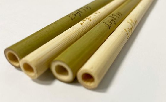 Custom Natural Biodegradable Bamboo Straws 20cm Reusable Straight Straws With Brush