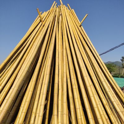 % 100 Doğal Ham 240cm Bambu Direk Bina Dekorasyonu 60cm - 595cm