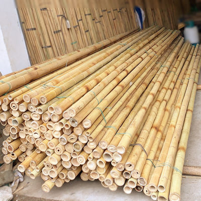 3 inç Moso Bambu direği bitki dekorasyonu için saf doğal bambu kazıklar Sarı