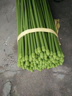 40cm 60cm 90cm 120cm Uzunluk Yeşil Bambu Çubuklar Renk Yeşil