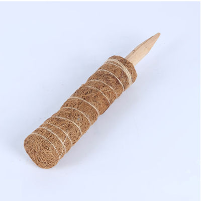 30cm 40cm 60cm 90cm Doğal hindistancevizi kokosu Totem Destek Çubuğu