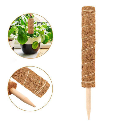 30cm 40cm 60cm 90cm Doğal hindistancevizi kokosu Totem Destek Çubuğu