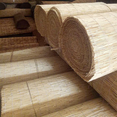 Doğal Çit Panelleri Roller Hafif Ağırlık Çit Yardları İçin Willow Gizlilik