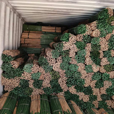 Özel Boyutlu Boyalı Bambu Direkler