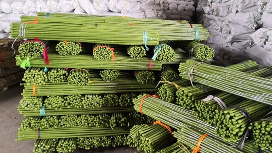 Özel Boyutlu Boyalı Bambu Direkler