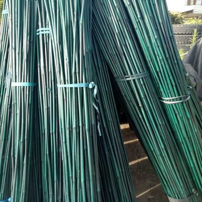 20cm Painted Raw Bamboo Poles Stakes Rods Green Decoration