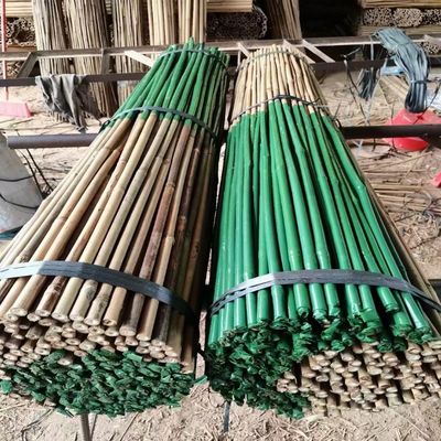 Plastik kaplı doğal ham bambu tomat çubukları ağaçlar bitki çubukları destekler