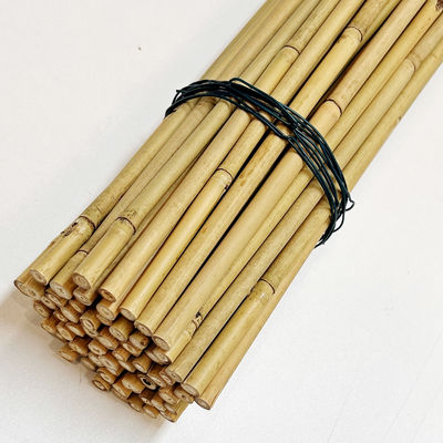 Moso Row Bamboo Poles Canes Stakes Sticks Farming Support Gardening Decoration