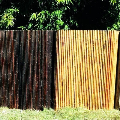 Natural Bamboo Raw Material Garden Fencing Panels With 180cm 240cm Length