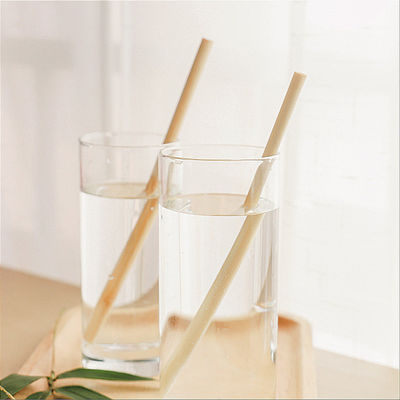 Natural Bamboo Raw Material Organic Fiber Straw With Cleaner 19cm
