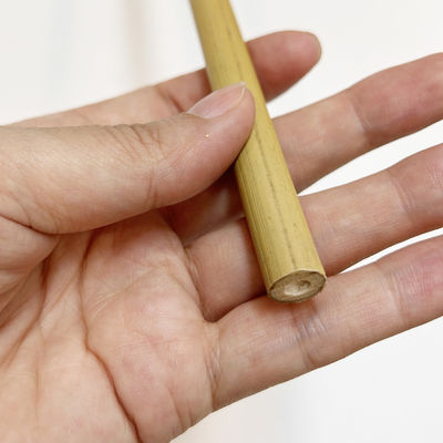 Tonkin Bamboo Cane for Plants Grow Support Custom Size Bamboo Stick