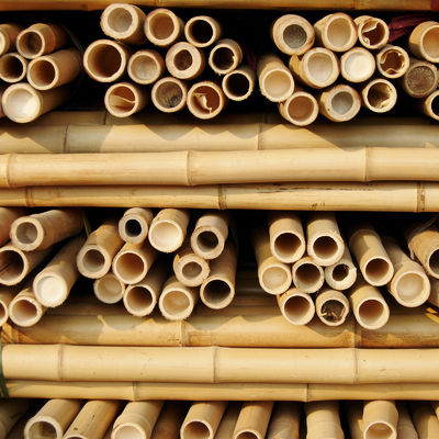 Tonkin Bamboo Cane for Plants Grow Support Custom Size Bamboo Stick