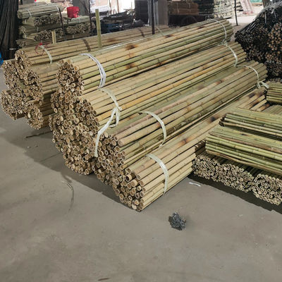 Bahçe Çit Ev Dekorasyonu Çiğ Bambu Çubukları Tonkin Katı Bambu Çubukları