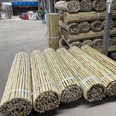 Bahçe Çit Ev Dekorasyonu Çiğ Bambu Çubukları Tonkin Katı Bambu Çubukları