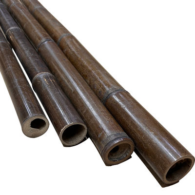 Anti Mould Painted Bamboo Stakes Colourful Plant Tonkin Carbonized 250cm