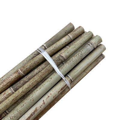 Sarı Doğa Çiğ Dışarı Bambu Çubukları Kuru Bambu Çubukları 2m 3m 4m