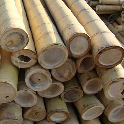 Natural Raw Moso Bamboo Poles 2cm 3cm 4cm 5cm 6cm 8cm 10cm Diameter