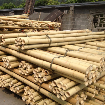 Natural Raw Moso Bamboo Poles 2cm 3cm 4cm 5cm 6cm 8cm 10cm Diameter