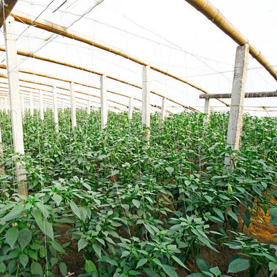 İnşaat Bambu hammaddesi