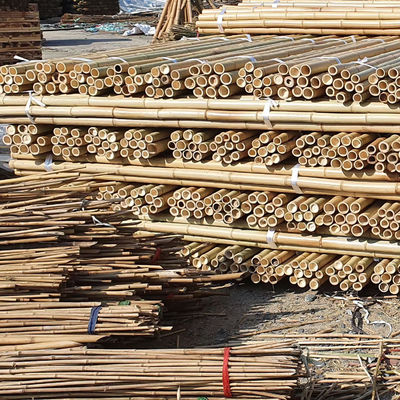 İnşaat Bambu hammaddesi