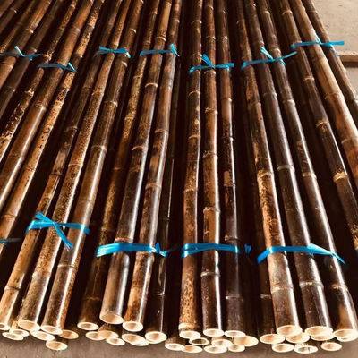 120cm Raw Bamboo Pole