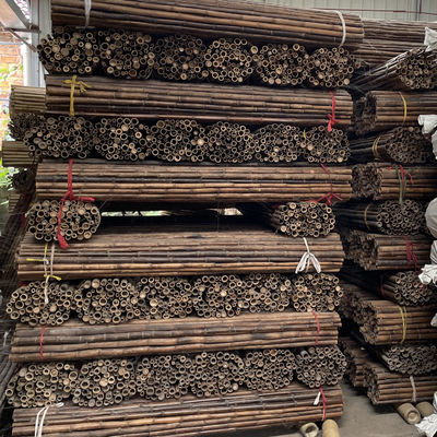 120cm Raw Bamboo Pole