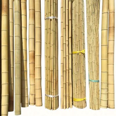 Bamboo Town Nature Yellow Black Dry Treated Bamboo Moss Pole